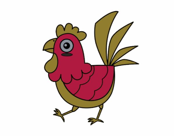 Gallina de granja