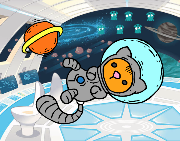 Gatito astronauta