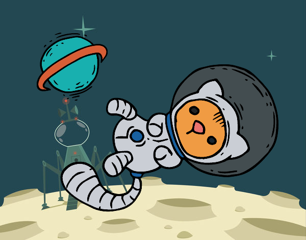 Gatito astronauta