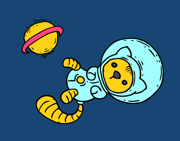 Gato Astronauta 