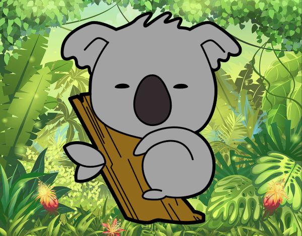 Koala bebé