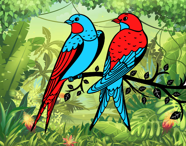 Dibujo Pareja de pájaros pintado por ari1