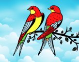Dibujo Pareja de pájaros pintado por kevin-dpc