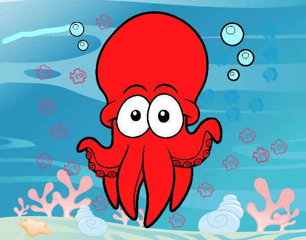 Pulpo rojo