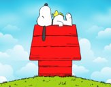 Snoopy durmiendo