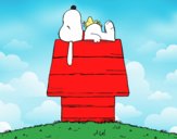 Snoopy durmiendo