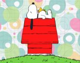 Snoopy durmiendo