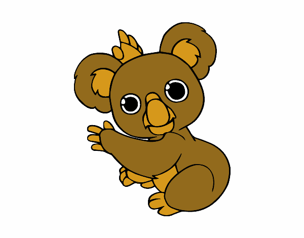 mi koala 