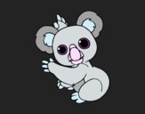 Un Koala