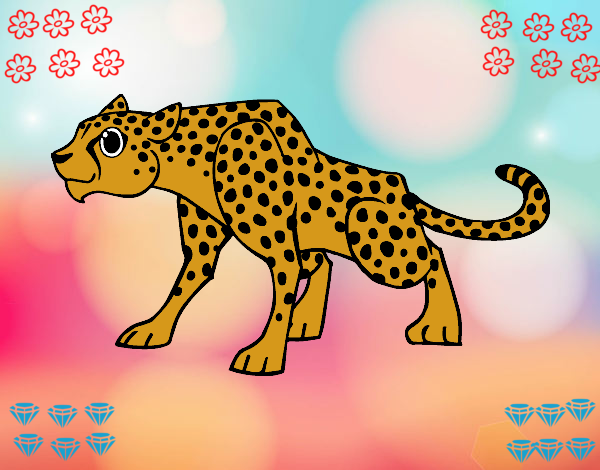 Un leopardo