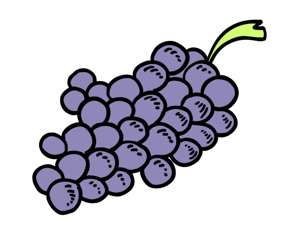 Uvas moradas