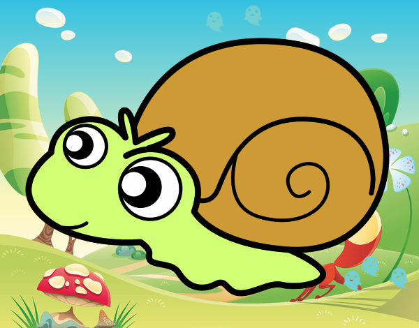 Caracol bebé