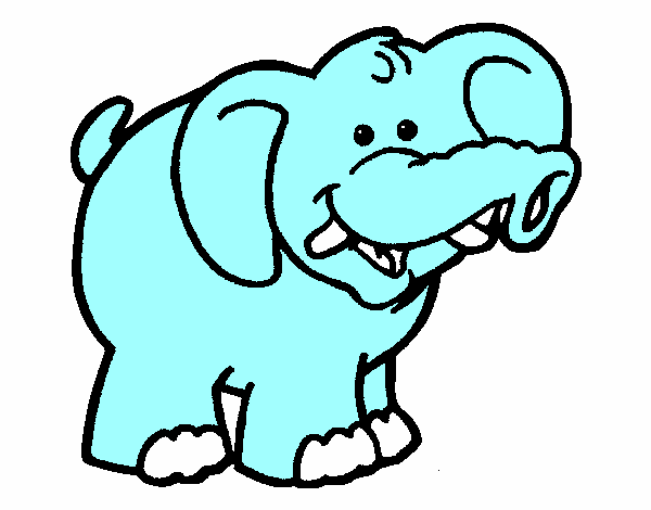 Elefante 6