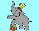 Elefante