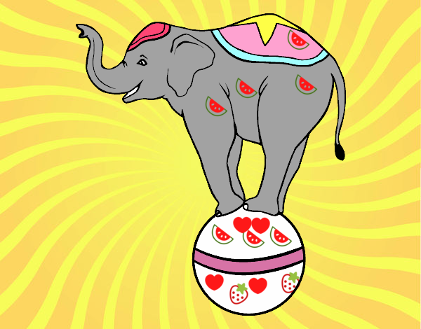 Elefante equilibrista