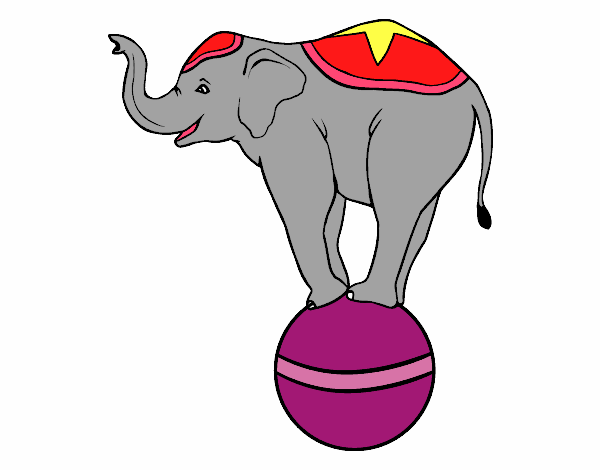 Elefante equilibrista