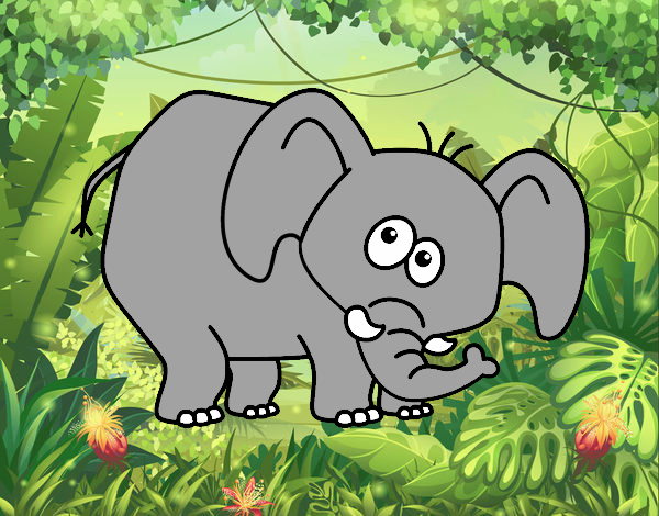 Elefante vergonzoso