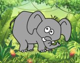 Elefante vergonzoso