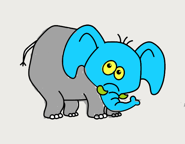 Elefante vergonzoso