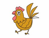 Gallina de granja