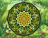 Mandala naturaleza