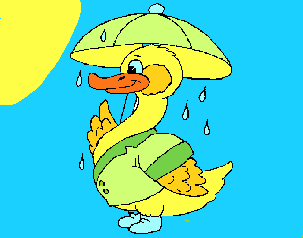 Pato bajo la lluvia