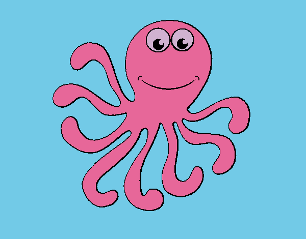 Pulpo 2