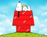 Snoopy durmiendo