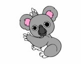 Dibujo Un Koala pintado por geronimoni