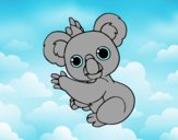 Un Koala