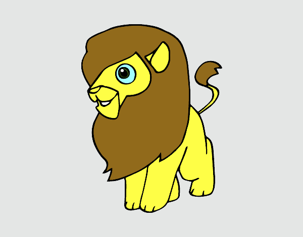 Un león