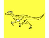 Velociraptor