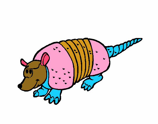 Armadillo