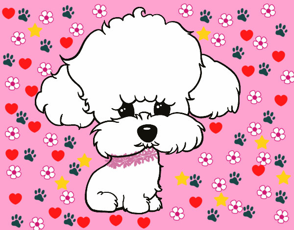 Dibujo Cachorro de poodle pintado por Aileen2401