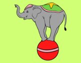 Elefante equilibrista