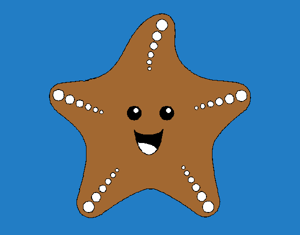 Estrella de mar 1