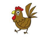 Gallina de granja