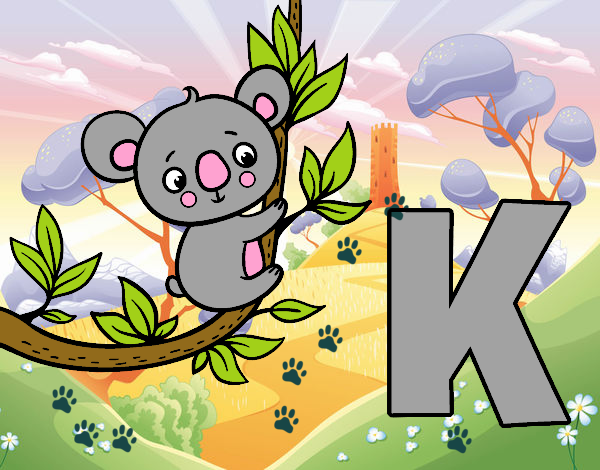 K de Koala