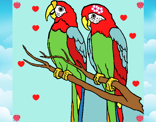 pajaros en el sielo enamorados