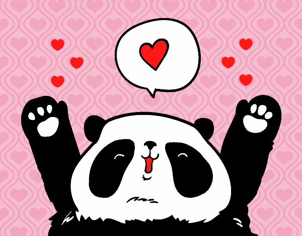 Panda enamorado