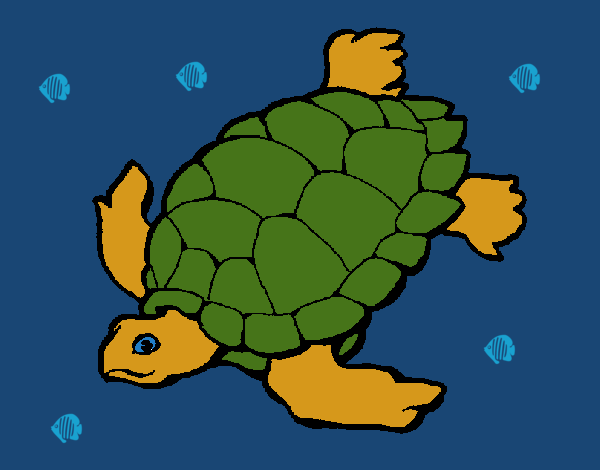 Tortuga