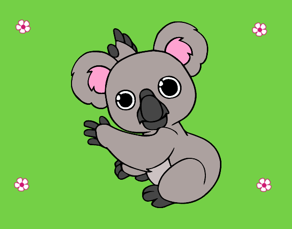 Un Koala