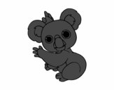 Un Koala