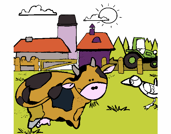 Vaca en la granja