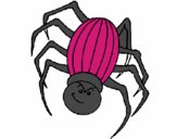 Araña 2