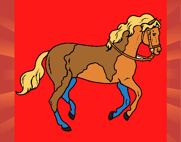 caballito