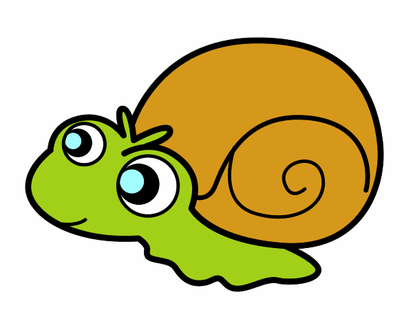 Caracol bebé