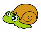 Caracol bebé