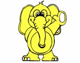 Elefante 2