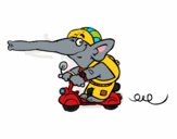 Elefante en moto